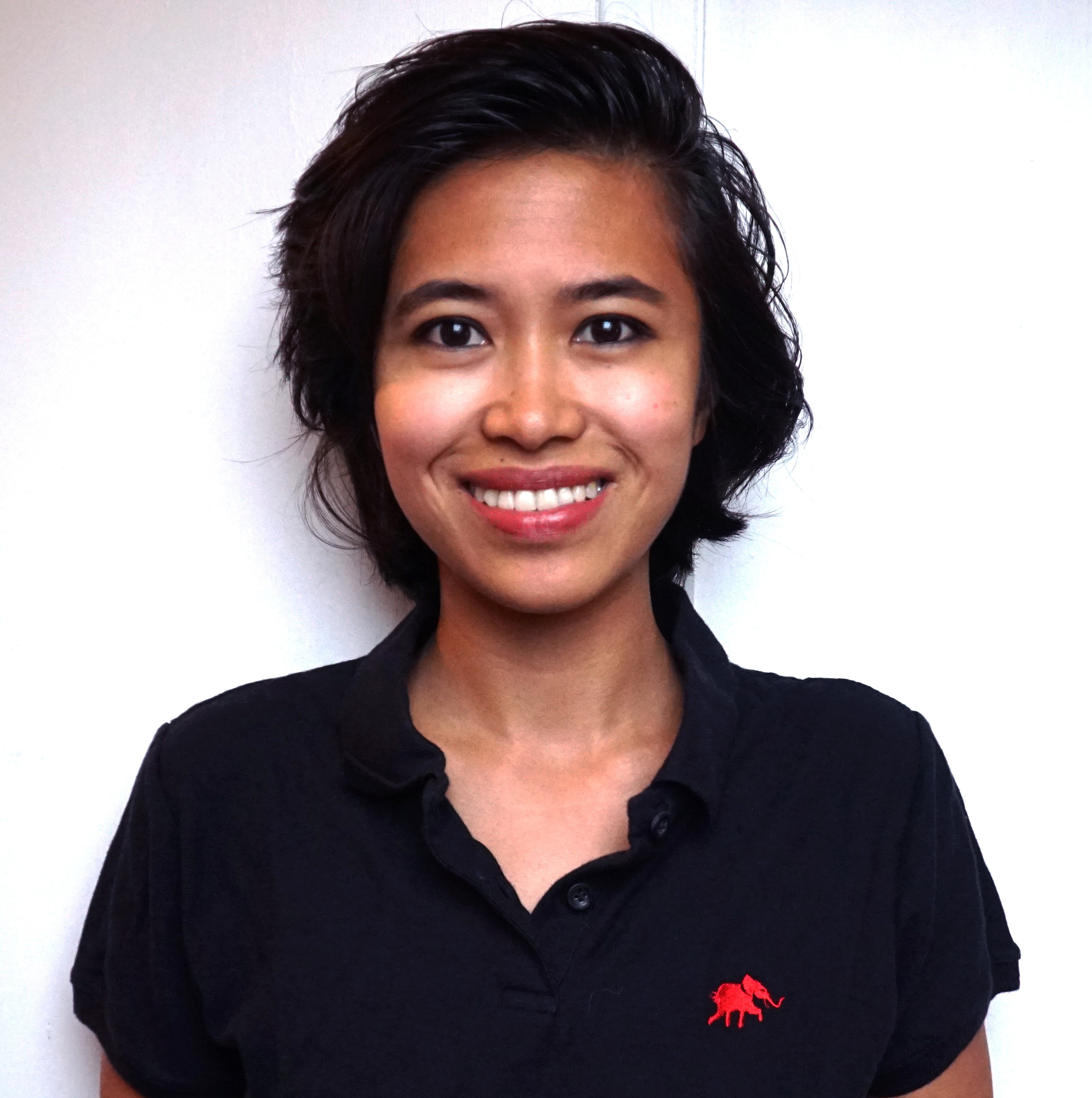 Typhoon HIL Webinar: The new TyphoonTest Framework - Harnessing the ...